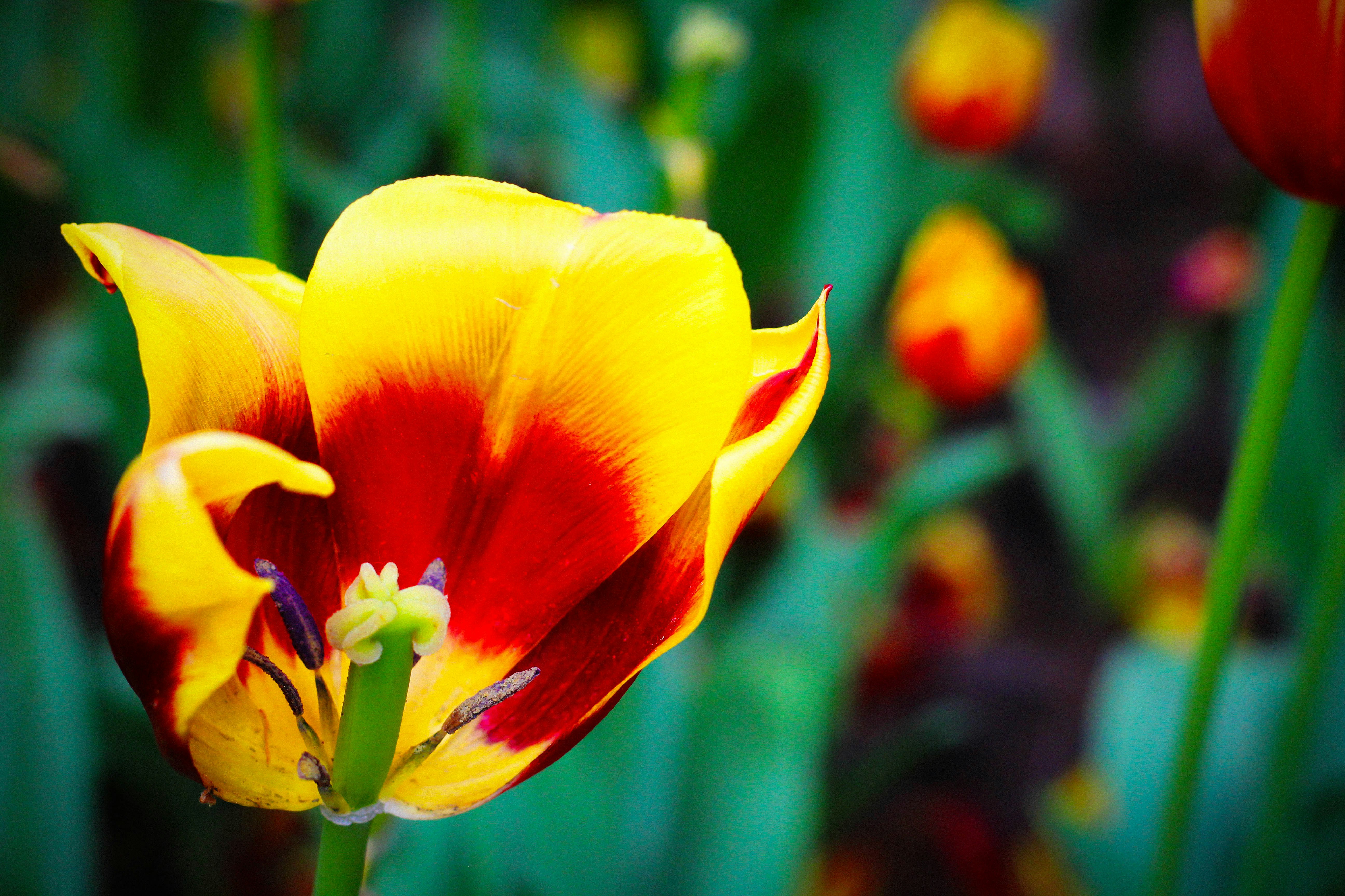 Photo by maria_troschinsk