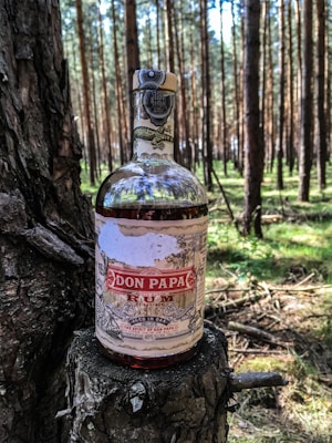 A bottle of Don Papa Rum stands on a tree stump in a forest, surrounded by tall, straight pine trees with sunlight filtering through the branches.