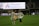 A soccer player wearing a white jersey with the number 12 and the name 'Sullivan' holds a large, unfurled banner on a sports field. Another person stands opposite, helping with the banner. The stadium is partially empty, with a large advertising screen in the background displaying 'Adventist HealthCare'.