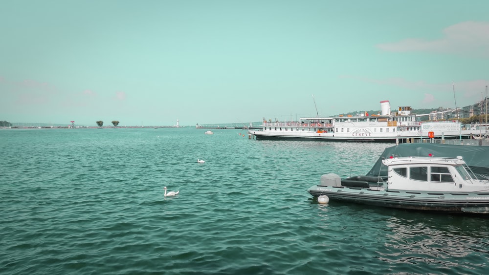 two white passenger boats on sea during daytime