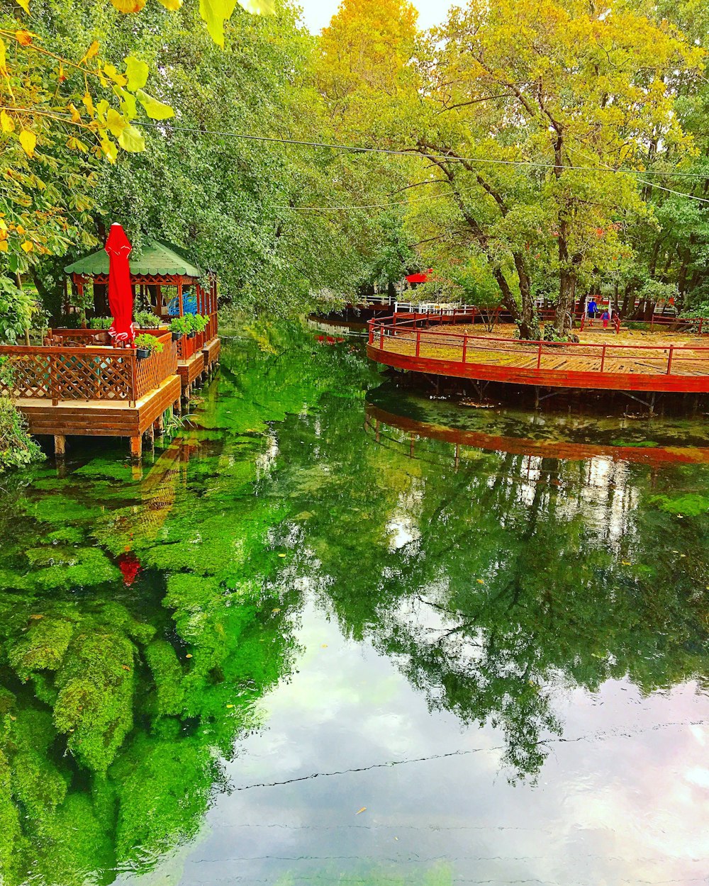 red-and-brown docks near trees during day