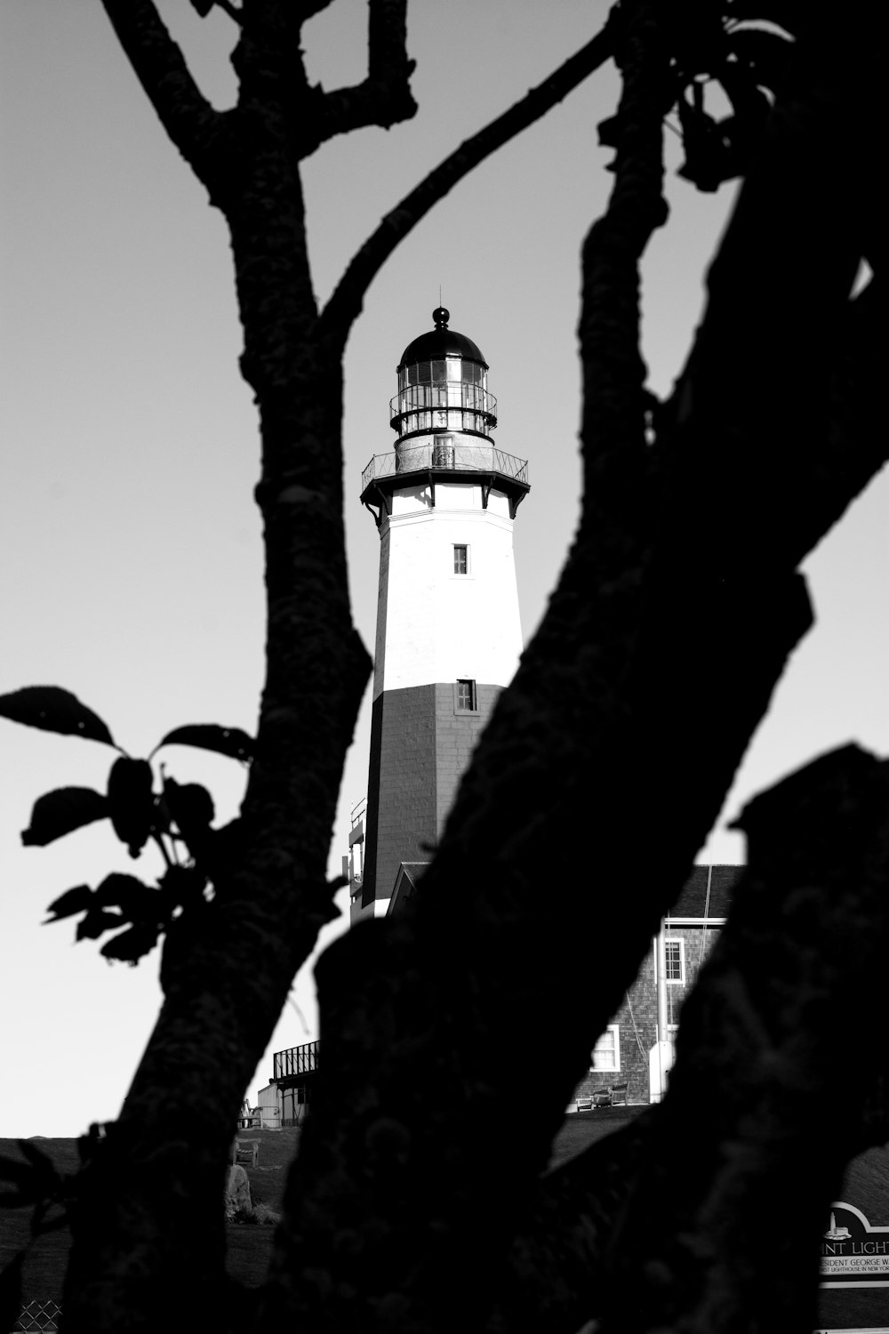 lighthouse during daytime