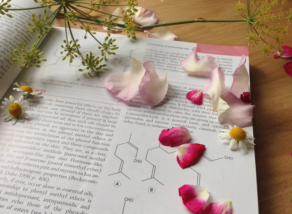 pink and white petals on book