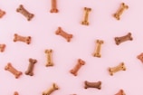 Various dog biscuits in the shape of bones are scattered across a light pink background. The treats are in different shades of brown.