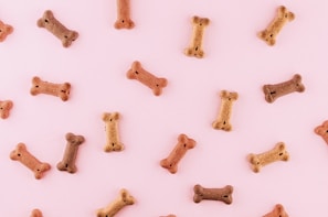 Various dog biscuits in the shape of bones are scattered across a light pink background. The treats are in different shades of brown.