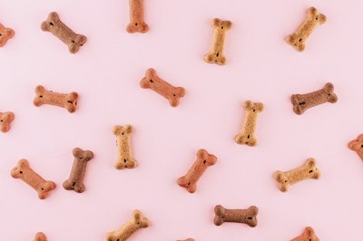 Alimento para perro