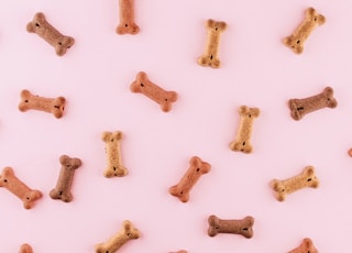 multicolored dog bone toys