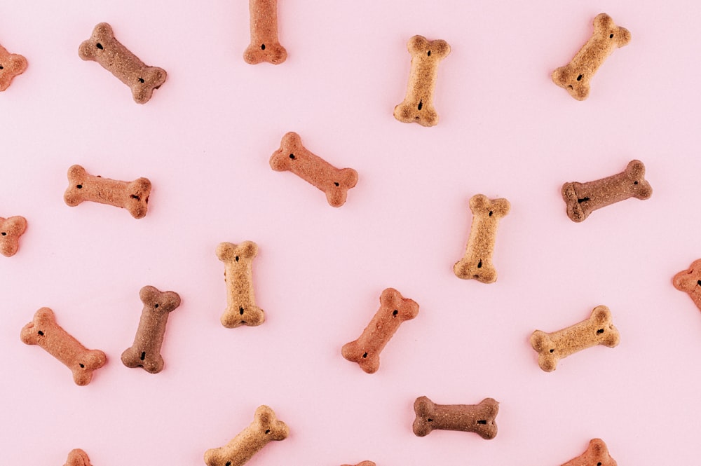 jouets en os de chien multicolores