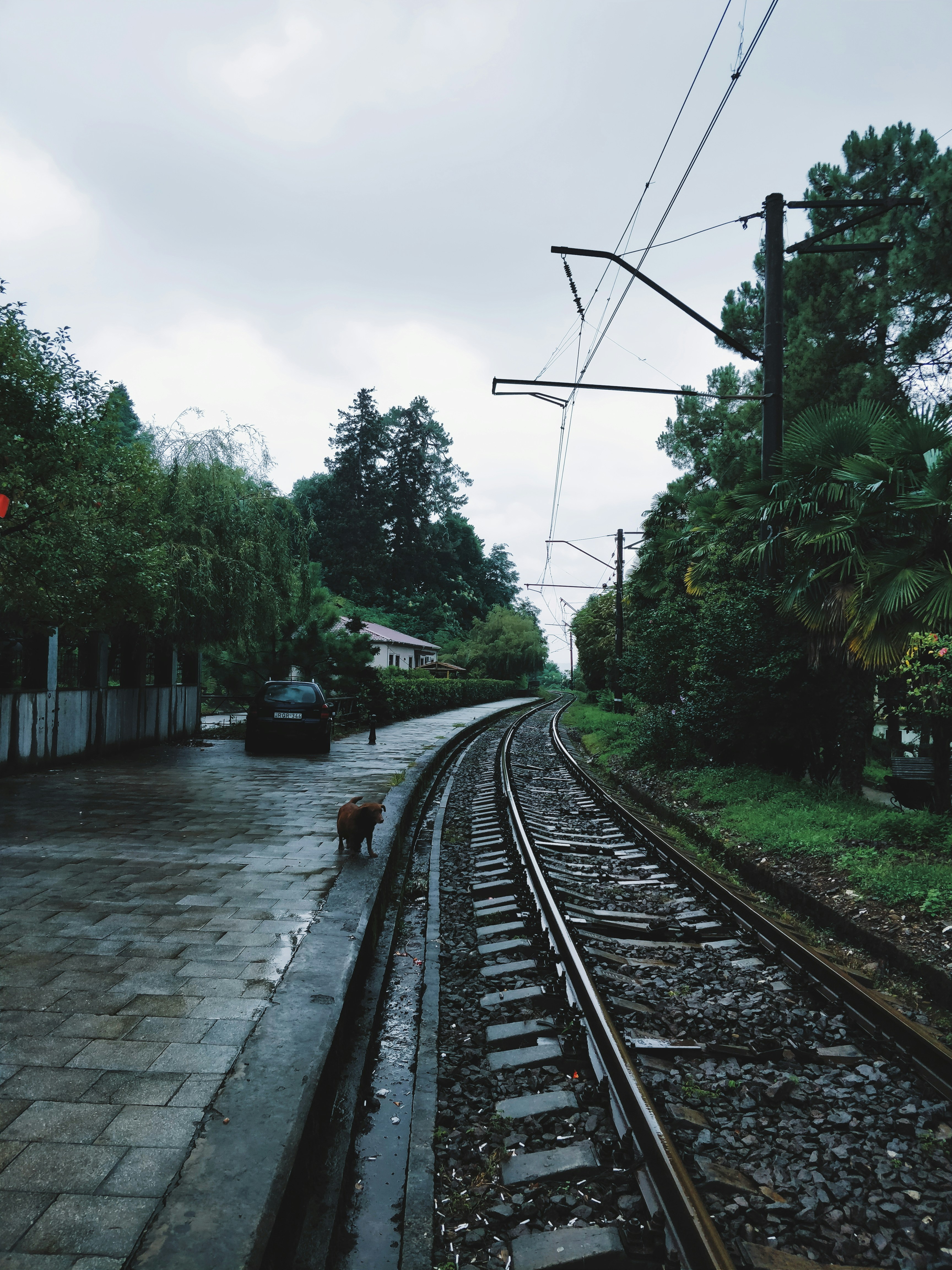 photo-1568641459566-dade898a25ac?ixlib=rb-1.2.1&dl=orkhan-farmanli-NdJmkwRyC7M-unsplash.jpg&q=80&fmt=jpg&crop=entropy&cs=tinysrgb