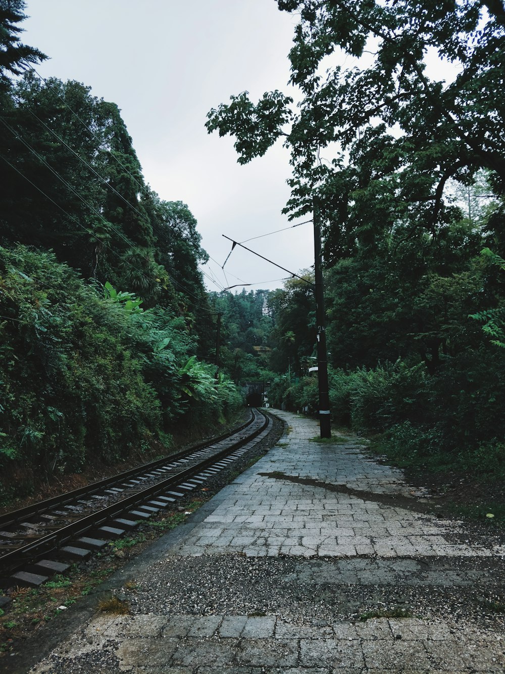 grey pathway during daytime