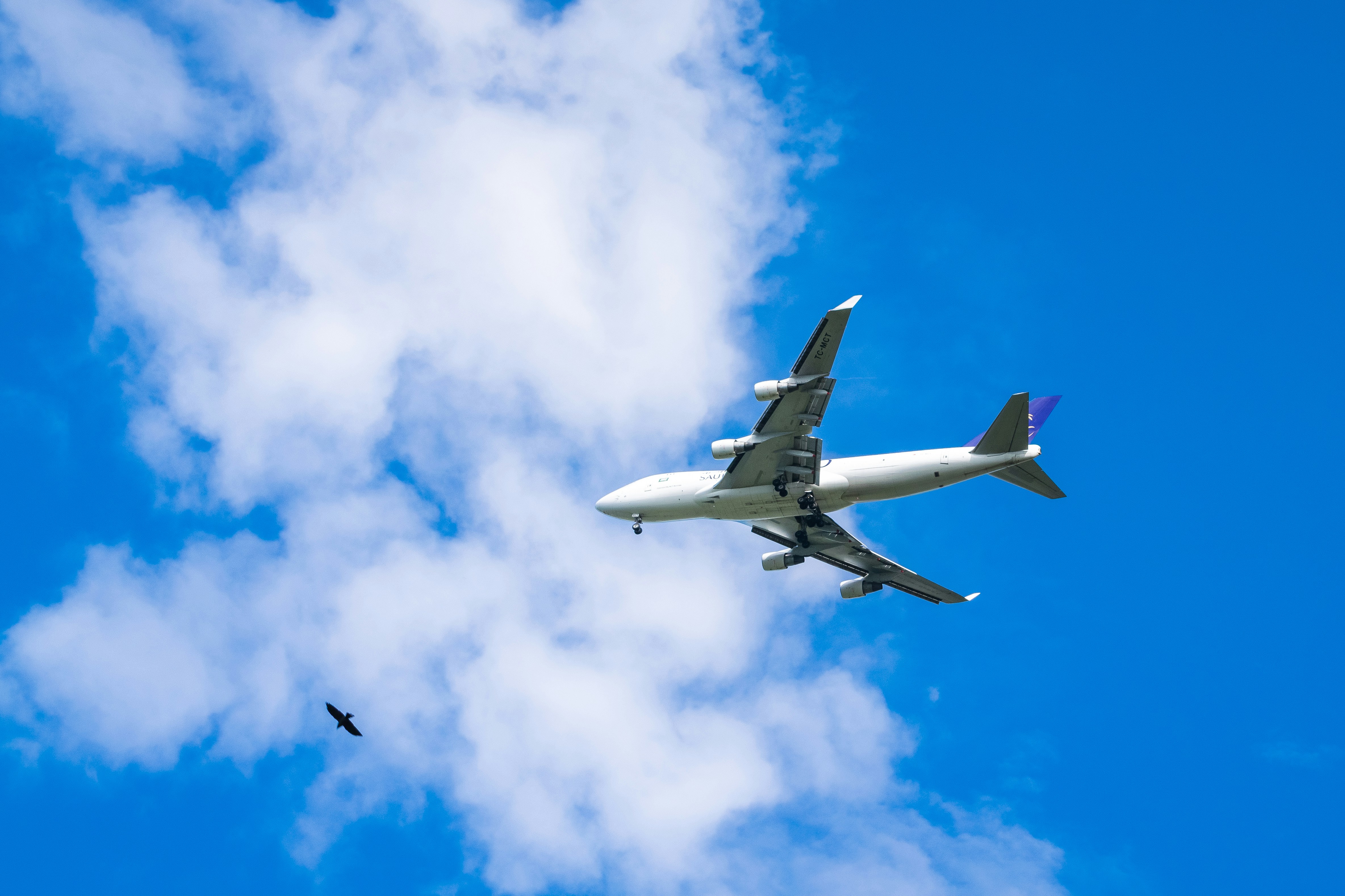 飛行機