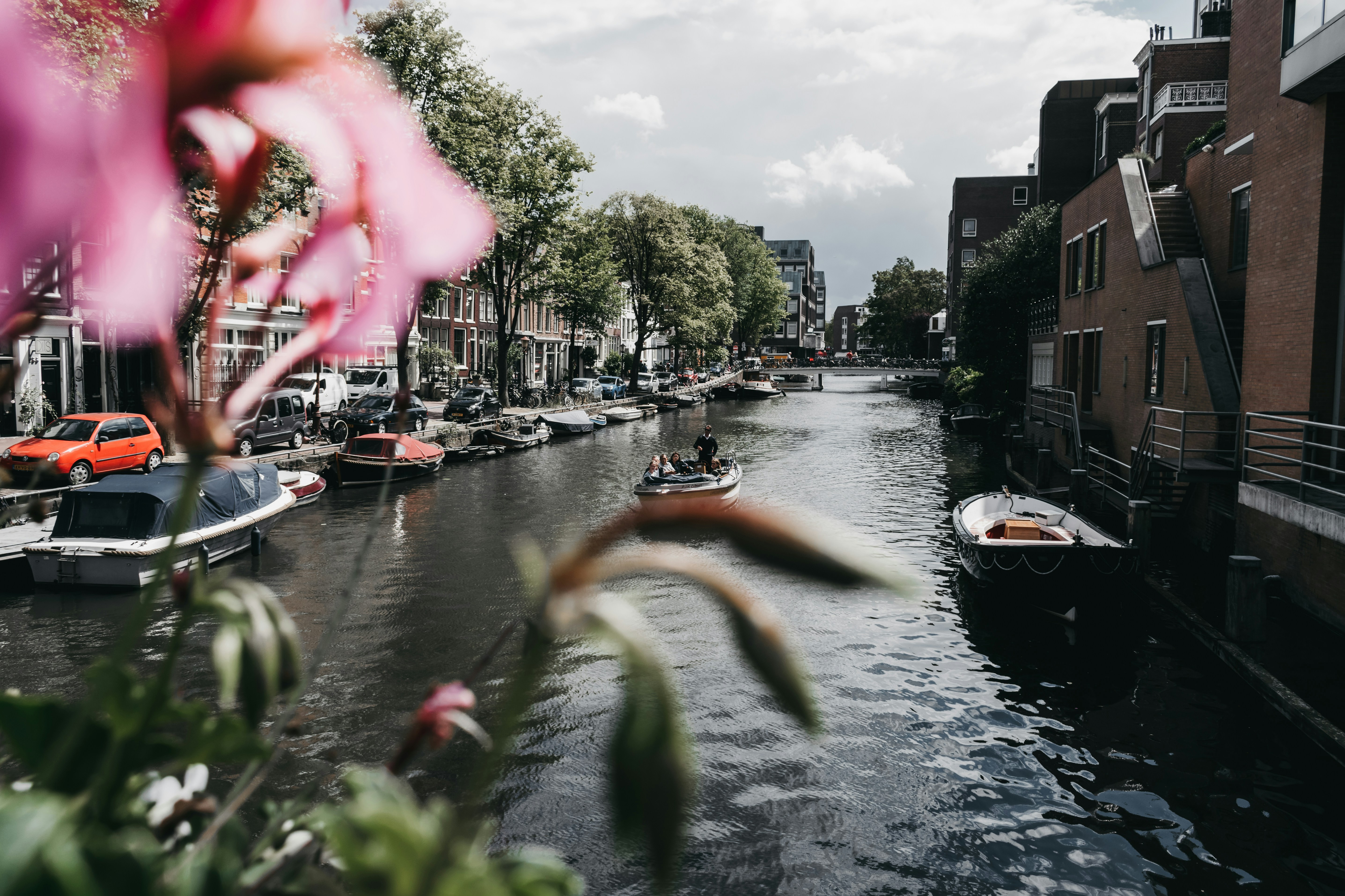 Photo by darya_tryfanava