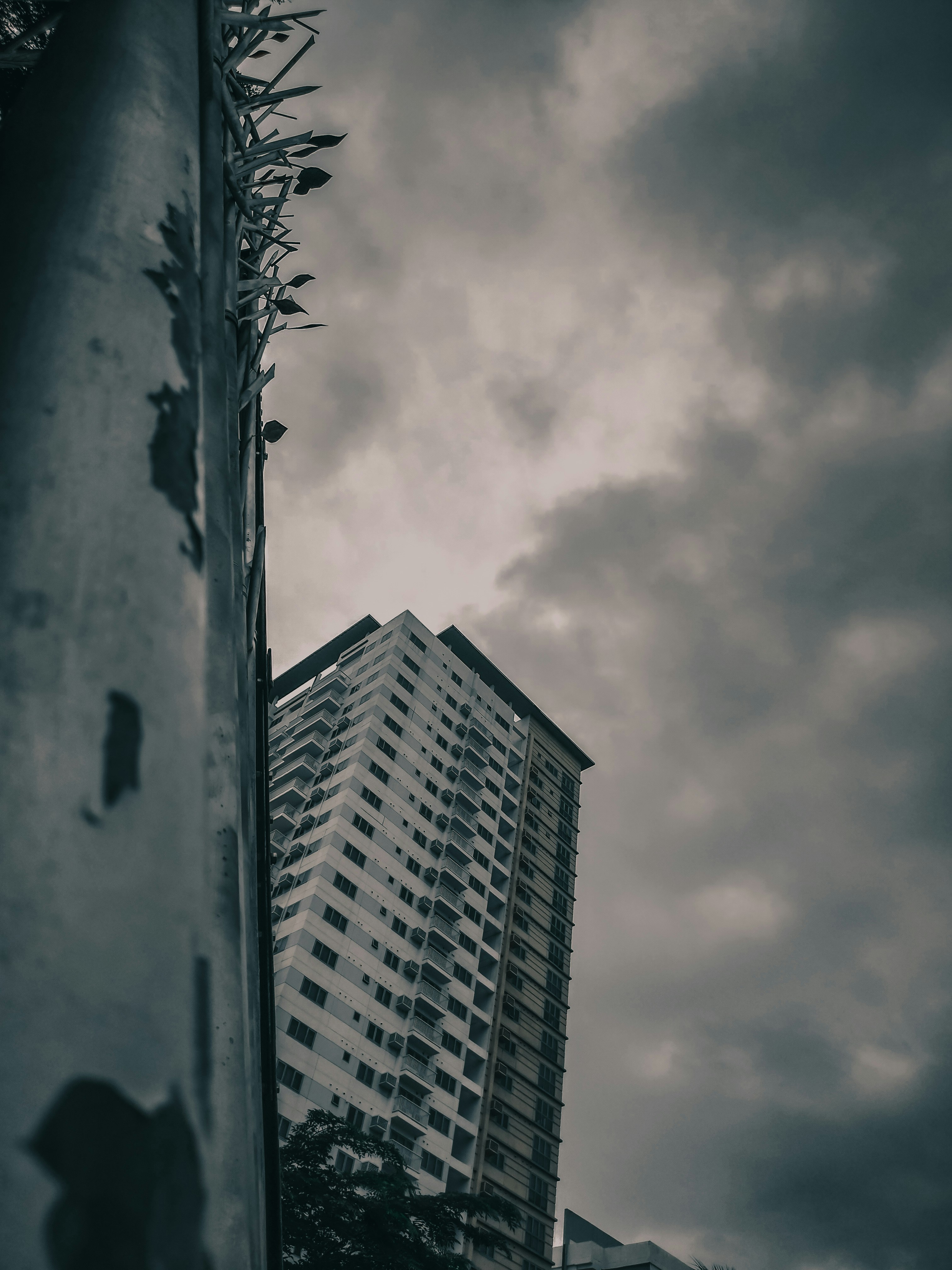 concrete building in low-angle photo