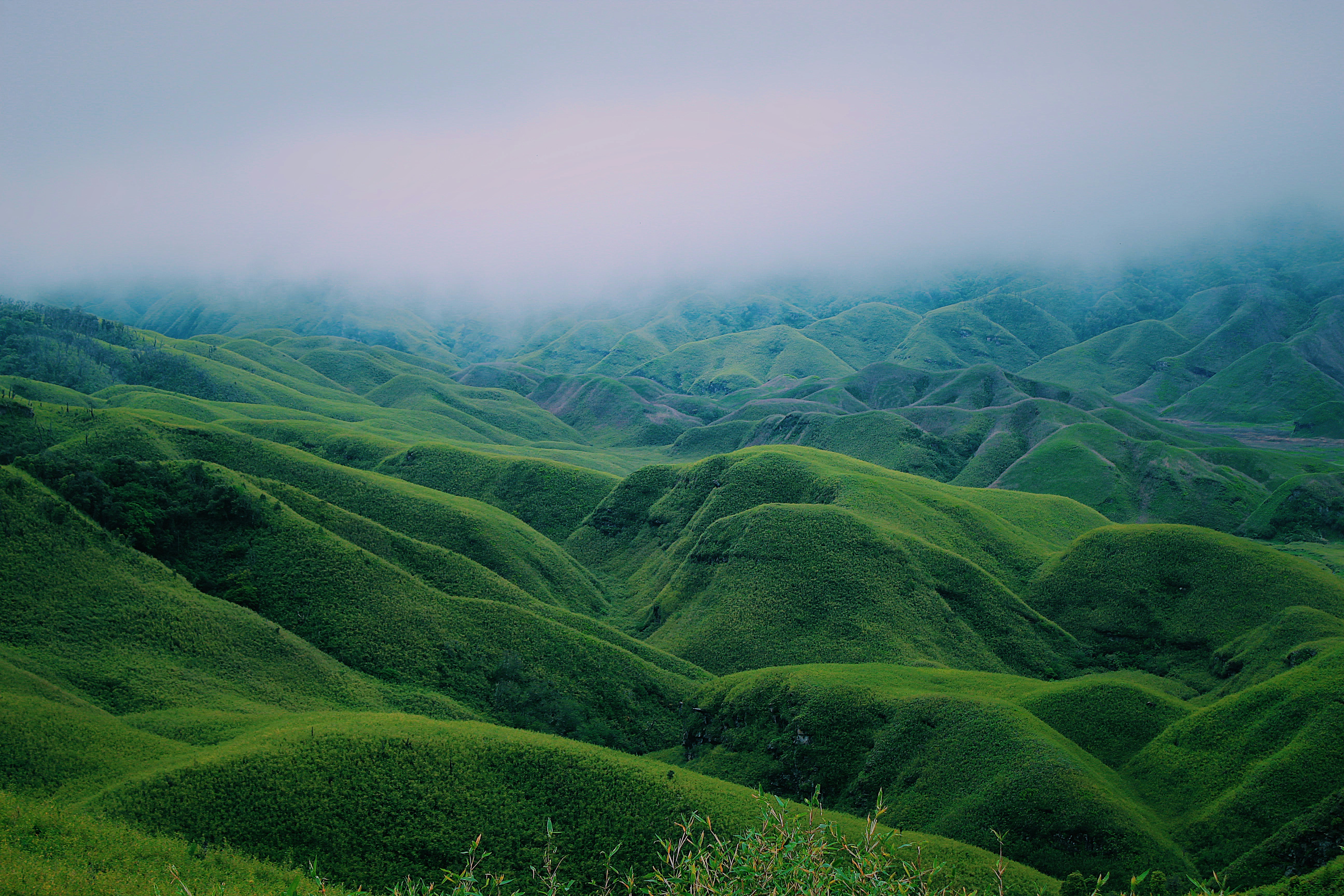 A click in Nagaland