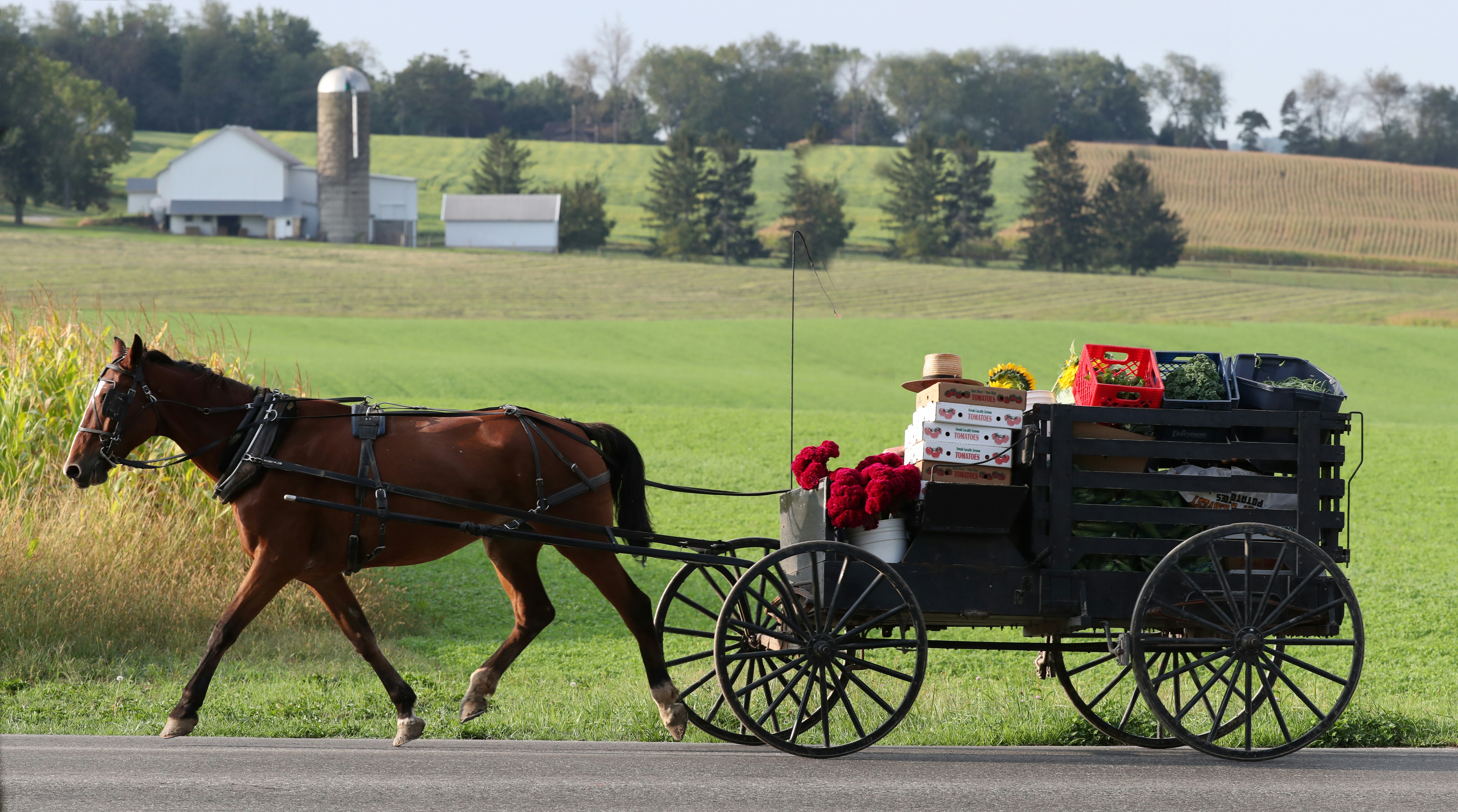 jemanden vor seinen Karren spannen