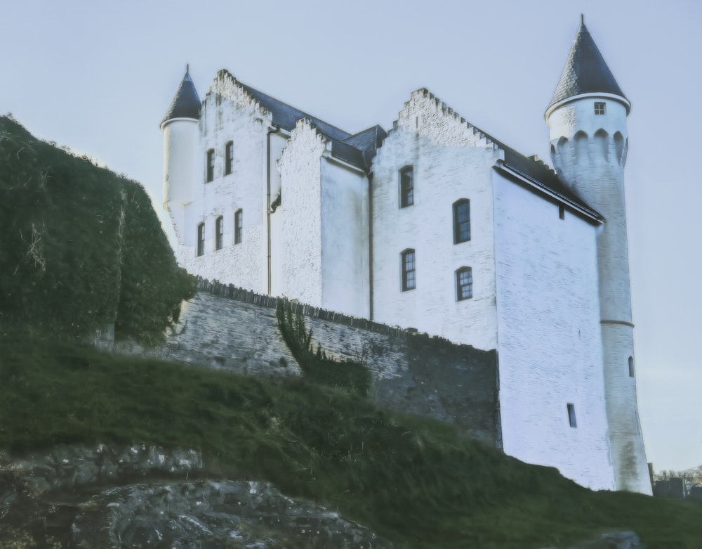 low angle photo of castle