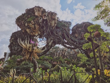 A panoramic view of a fantasy landscape filled with vibrant colors and intricate environmental details.