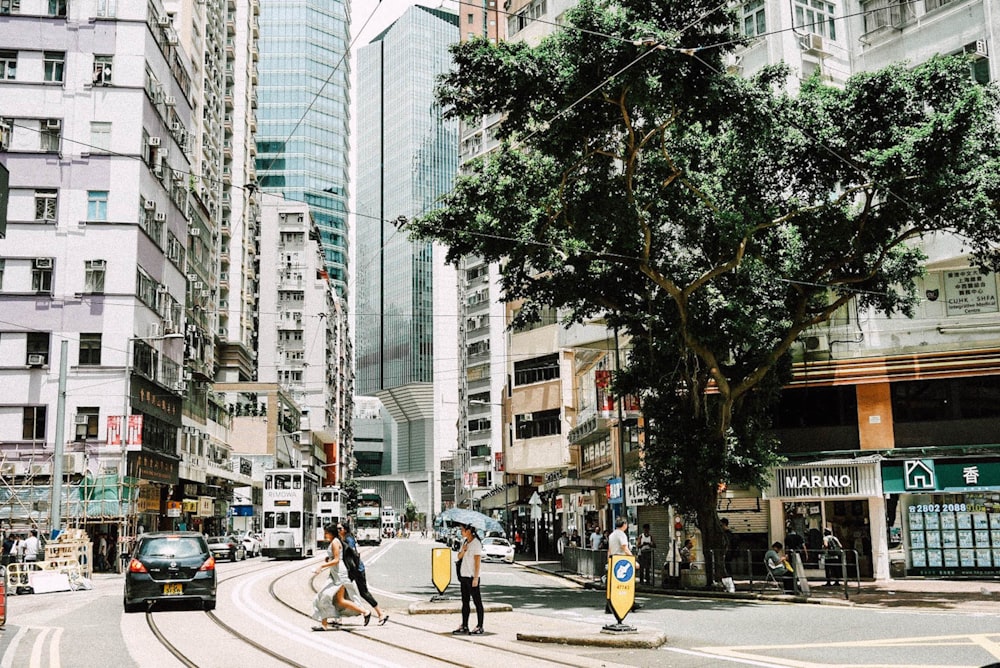 green tree beside buildings