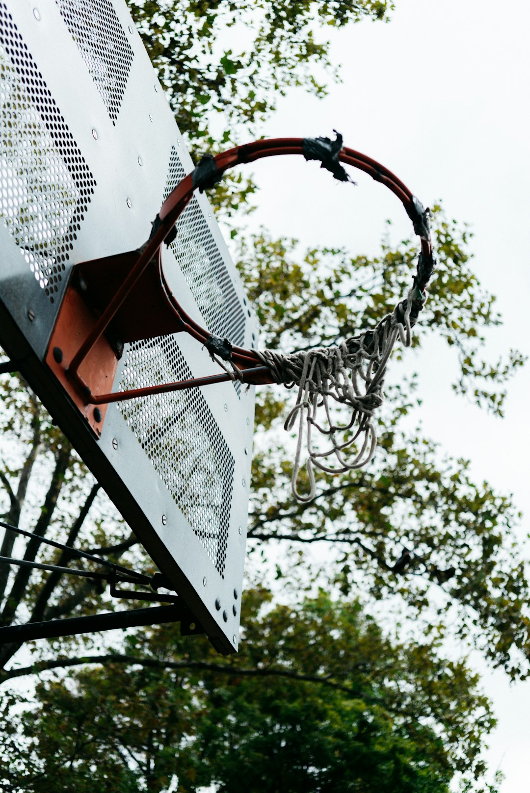 shallow focus photo of white basketball hoop