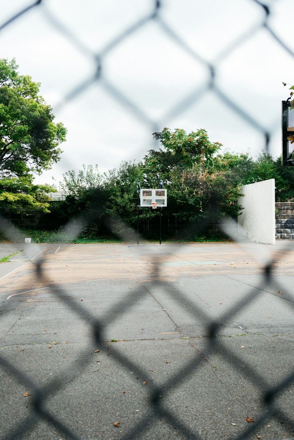 Photo de mise au point peu profonde d’arbres verts