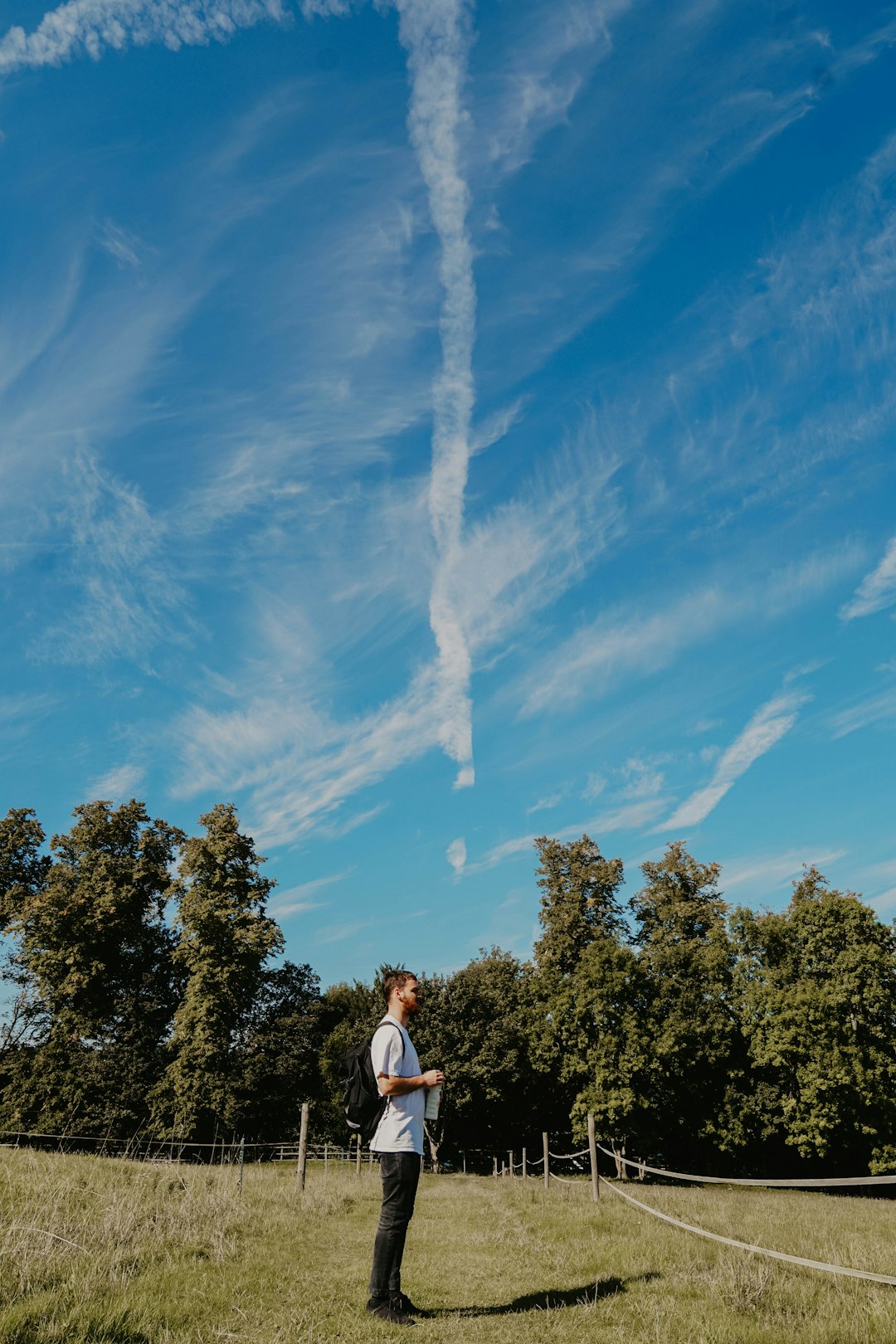 man standing near trees at daytime