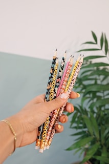 assorted-colored pencils besides green palm plants