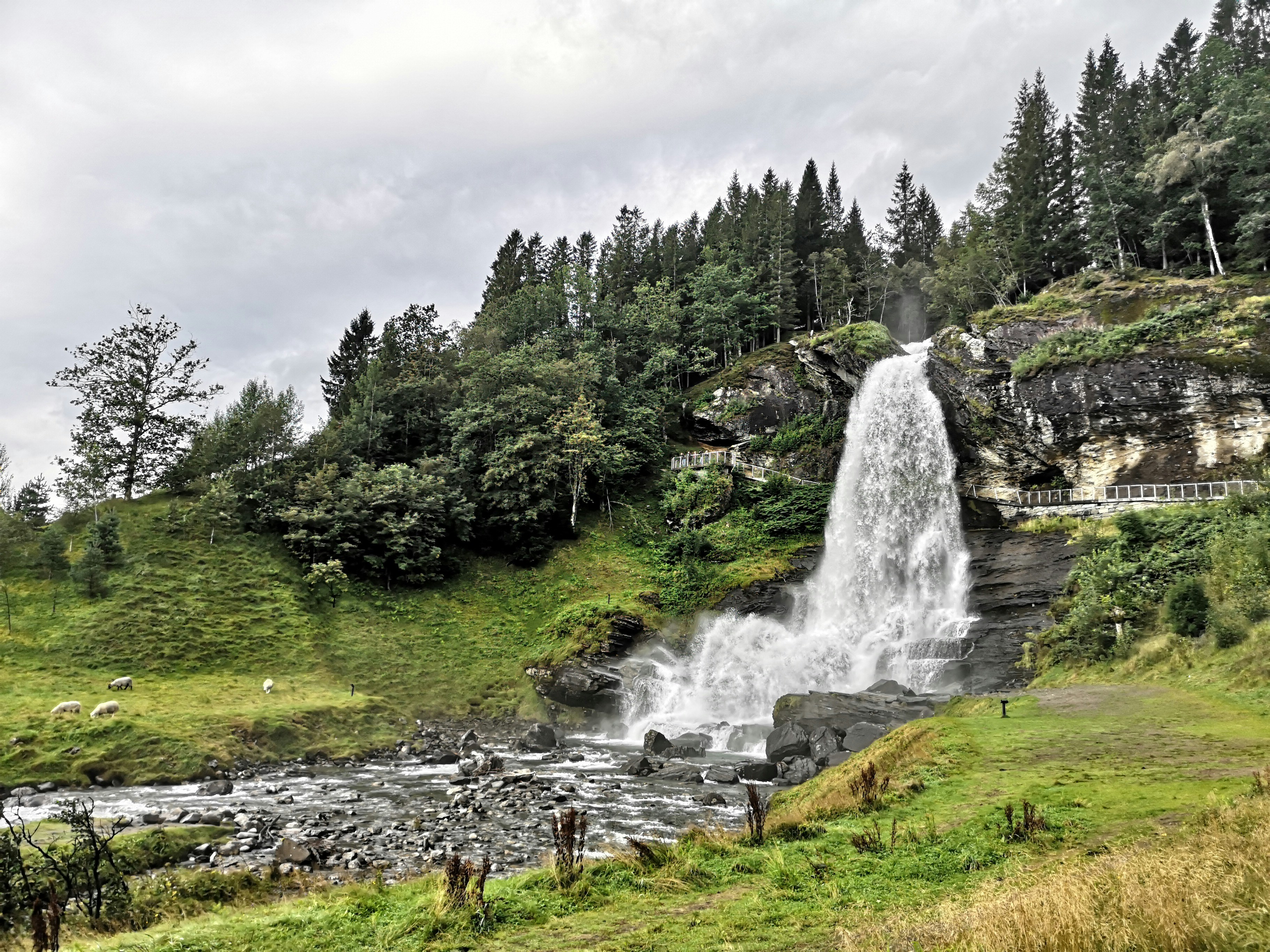 Photo by christinahr