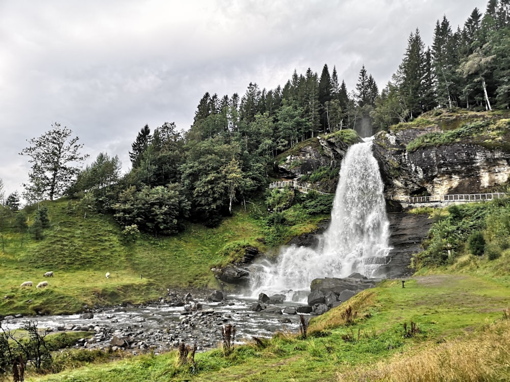 waterfalls during daytime