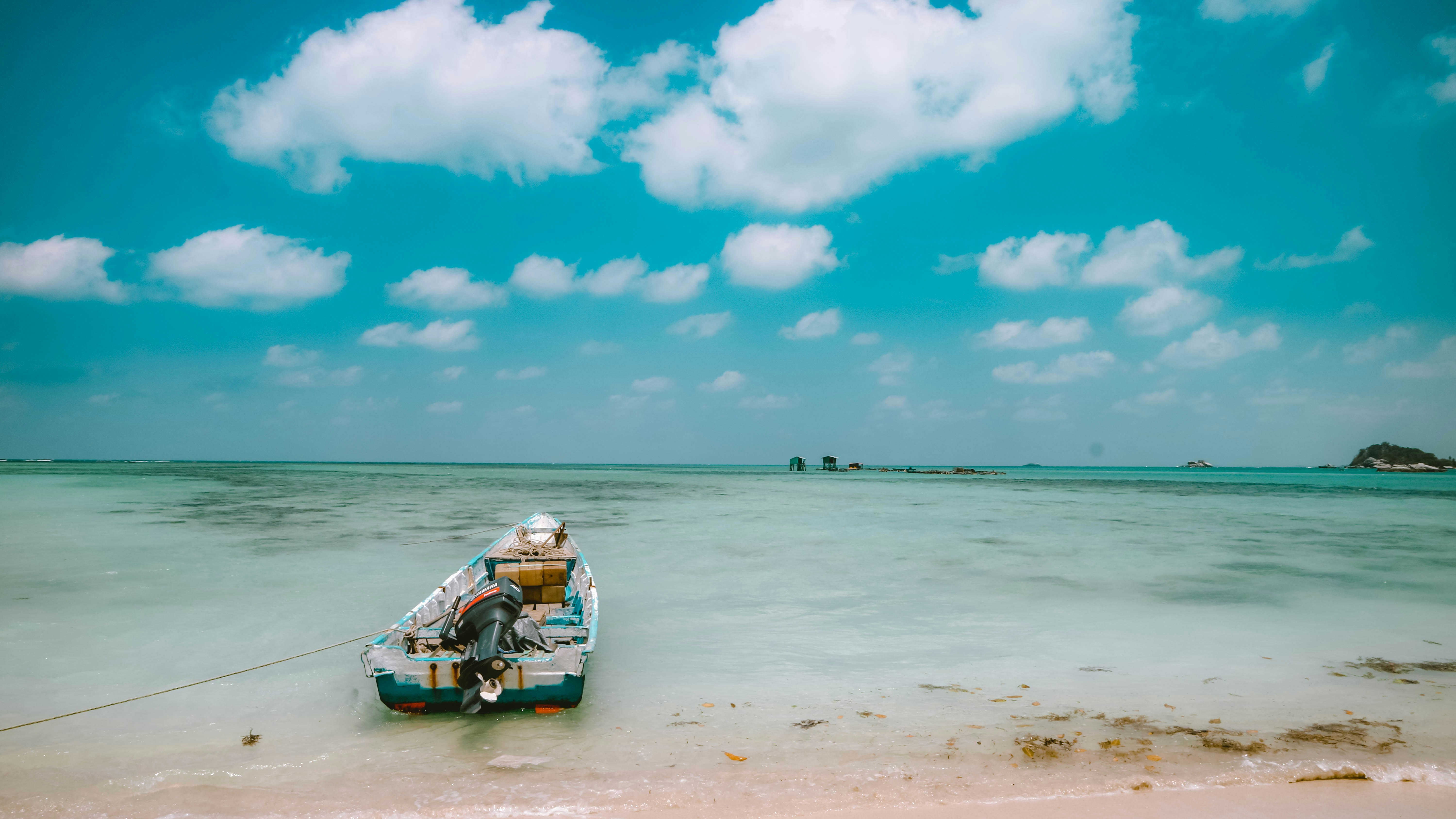 white boat on seashore during daytime