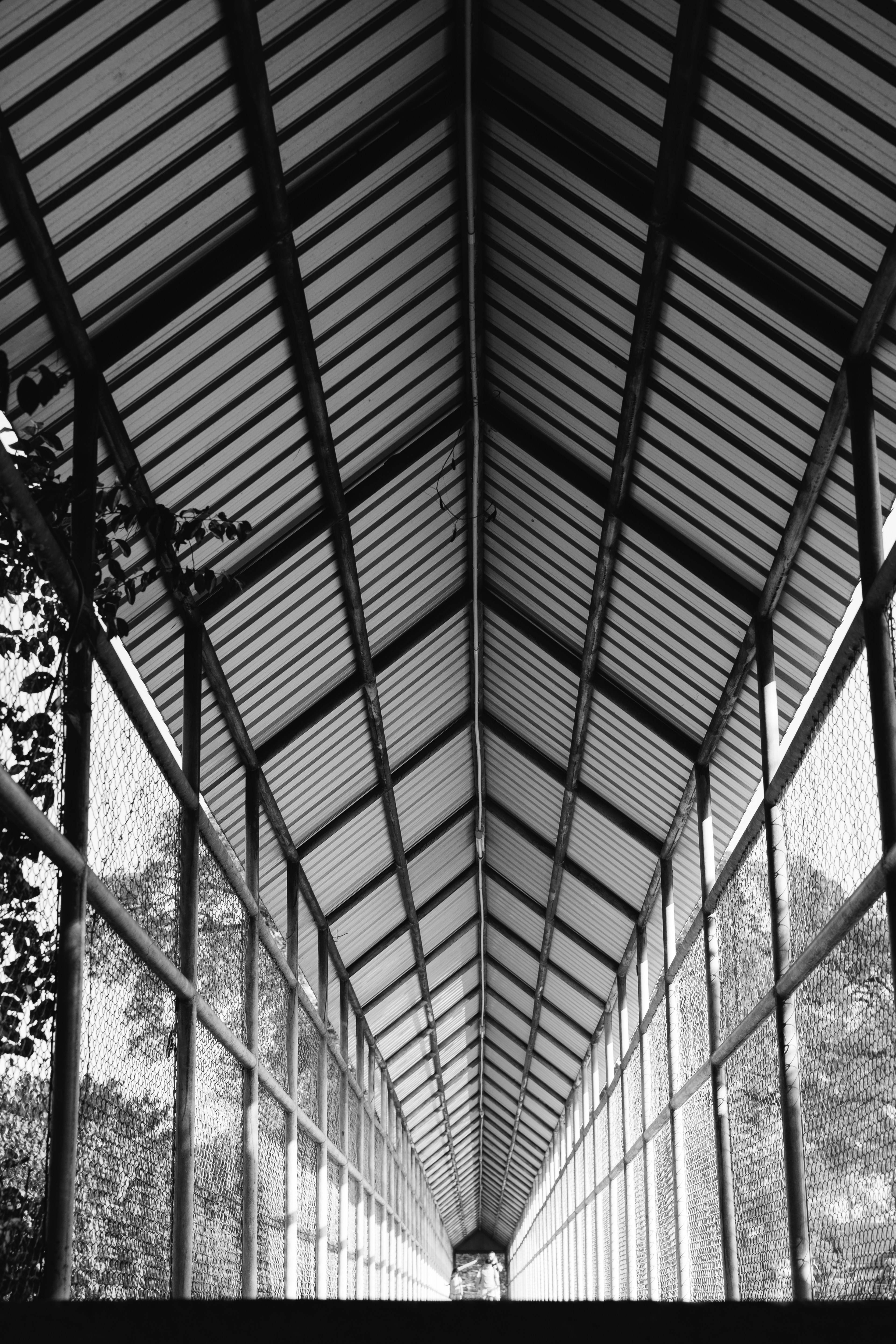 Photo by markuswinkler