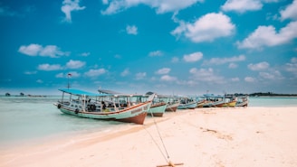 assorted-color boats on seashore during daytime