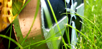 Close-up of a truck's polished wheel reflecting the matte forest green surroundings.
