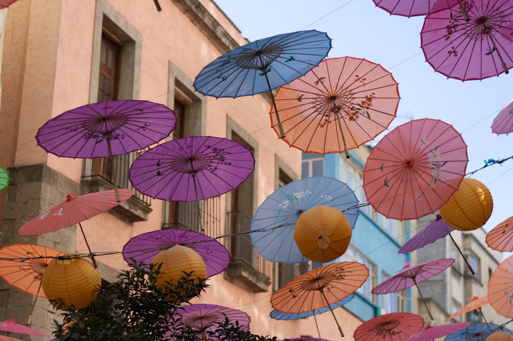 assorted umbrella