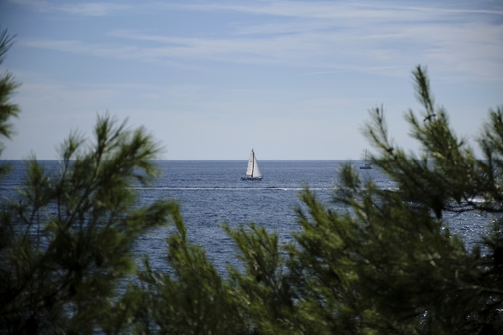 sailboat on calm body of water