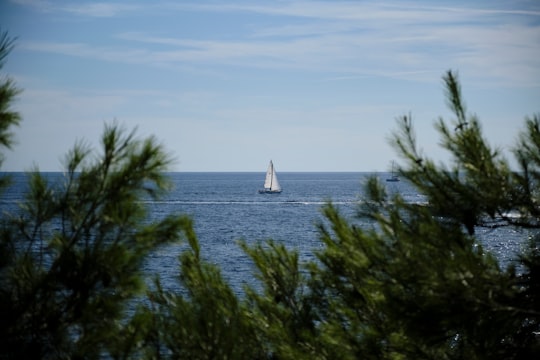 sailboat on calm body of water in Istria Croatia