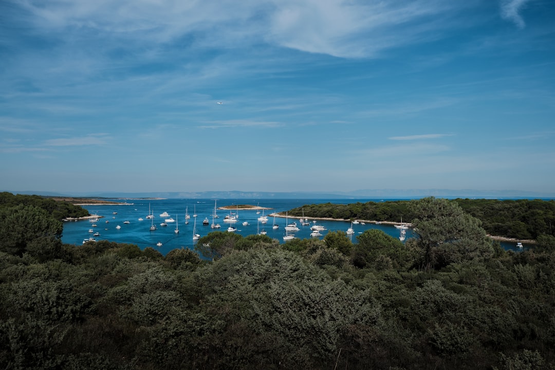 Shore photo spot Uvala Portić Istria