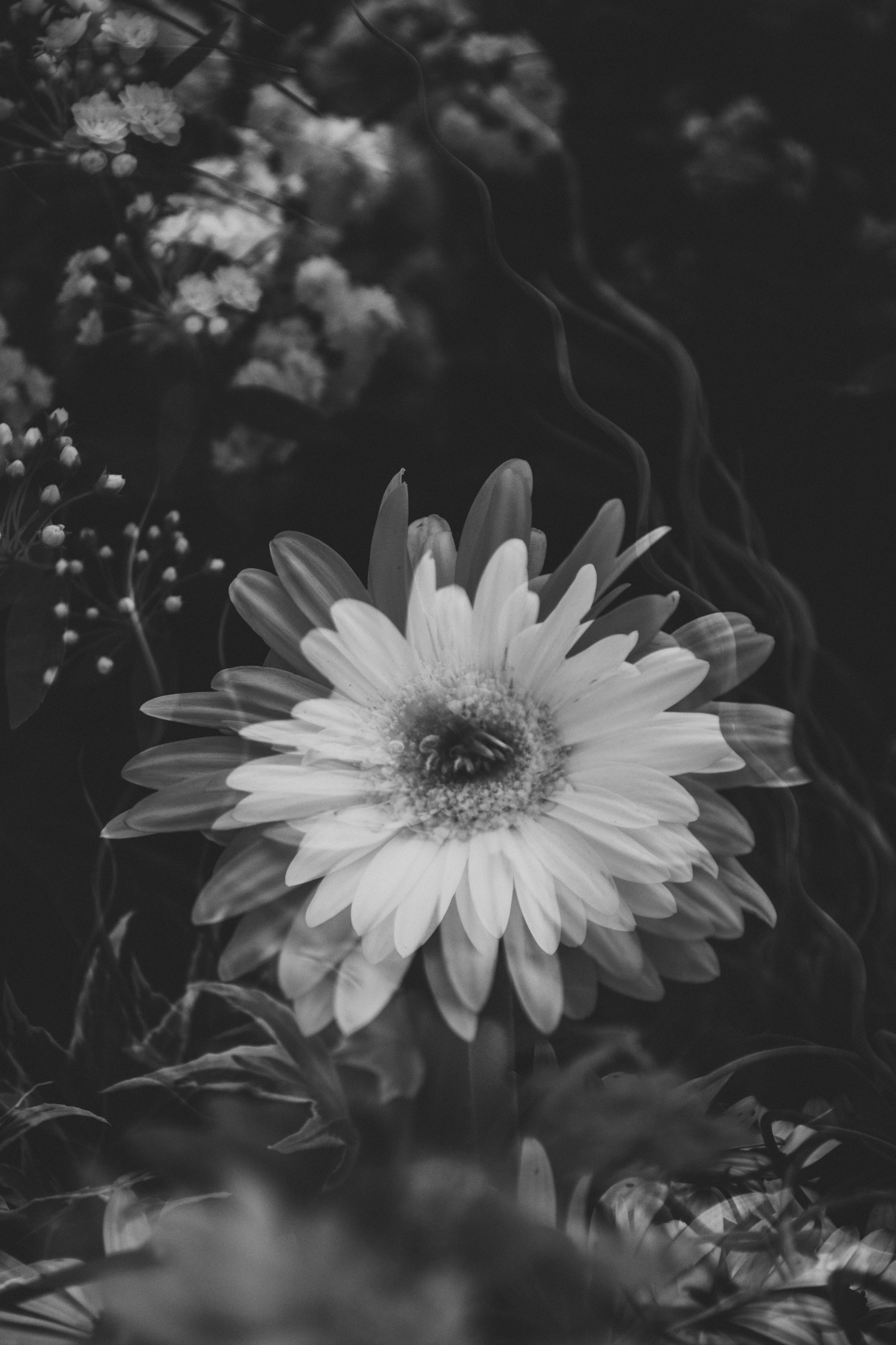 Photo by frandreotti