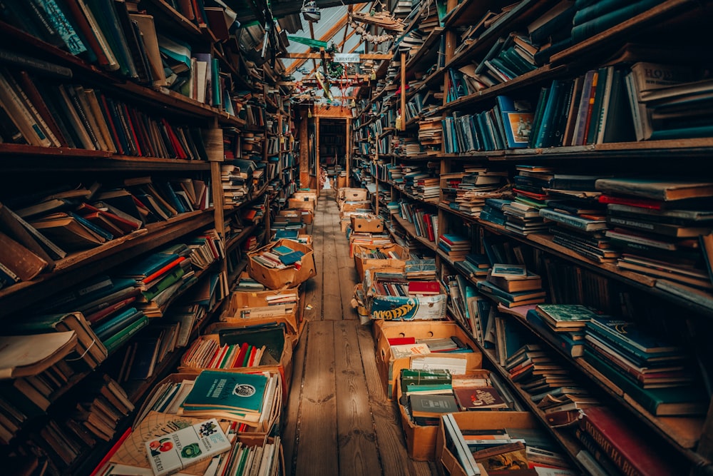 book lot in bookcase