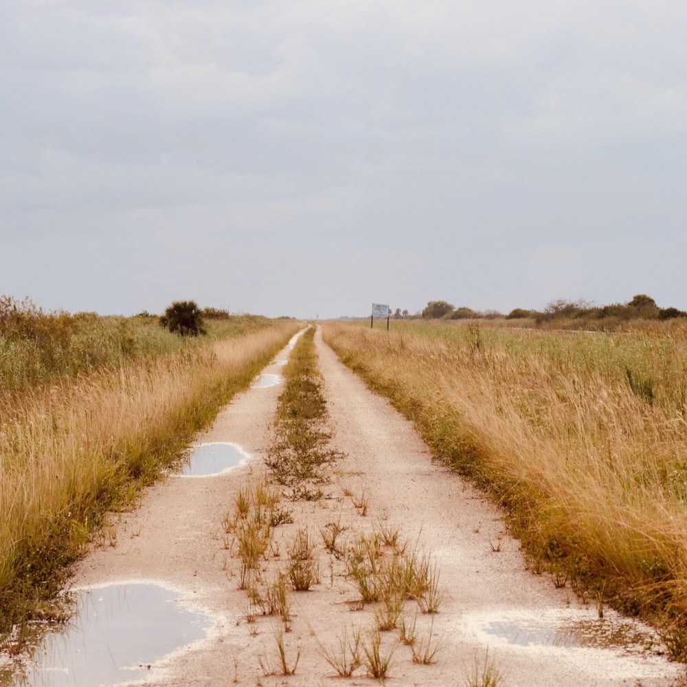 dirt road with water puddles during daytime