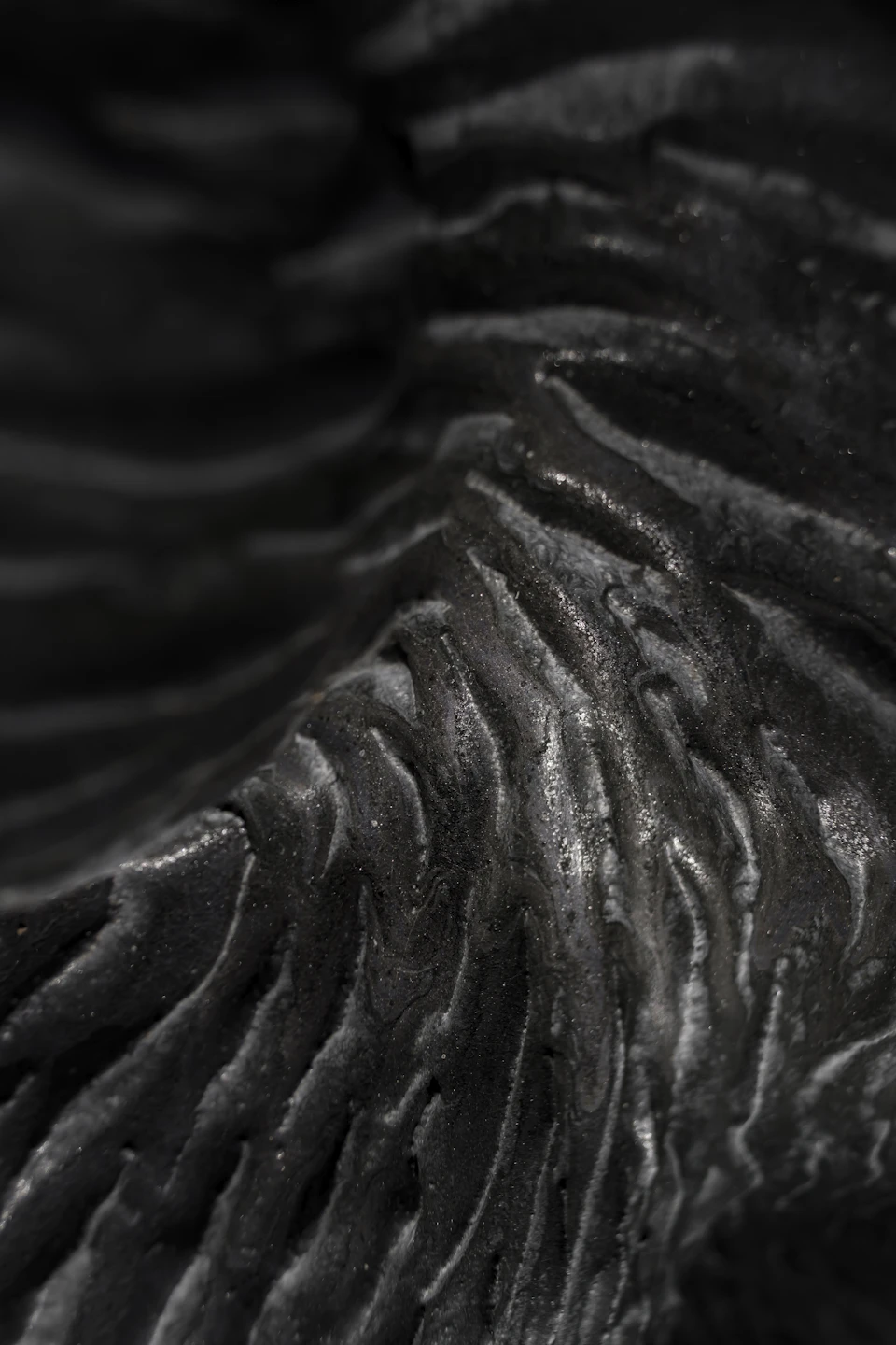 Centralized object with unique black and white texture dominates the frame's composition closely