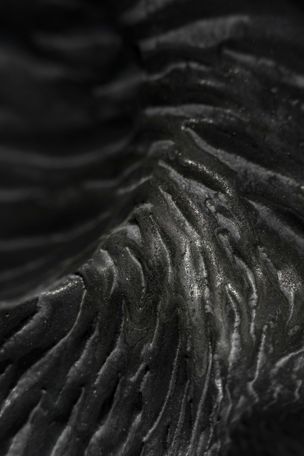 a close up of a black elephant's skin