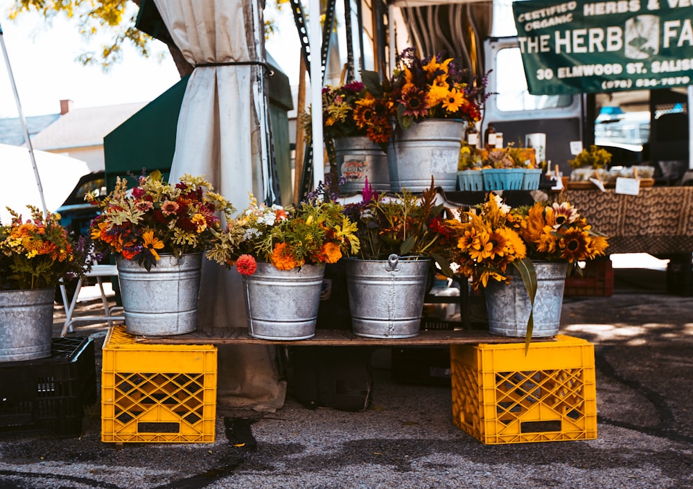 yellow flowers