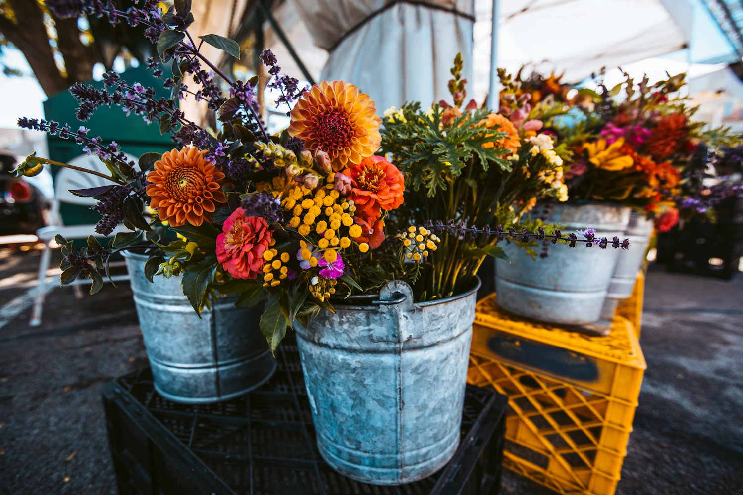 A long row of galvanised buckets packed with mixed cut flowers under market light
