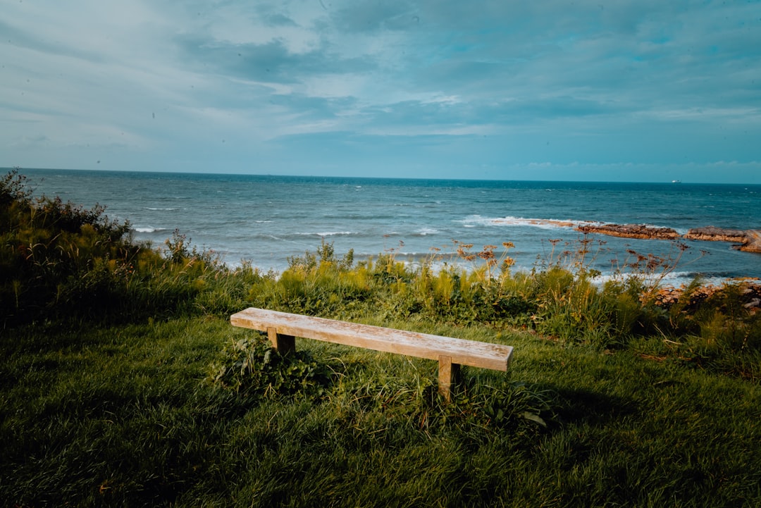 brown wooden bench on grassland