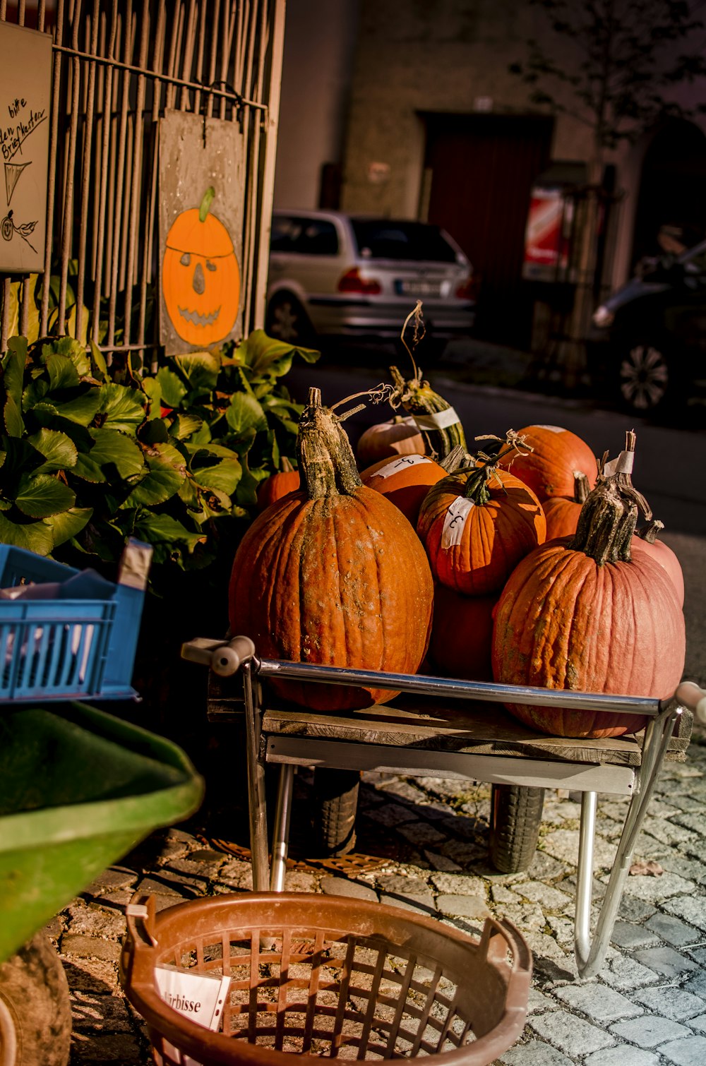 orange pumpkins