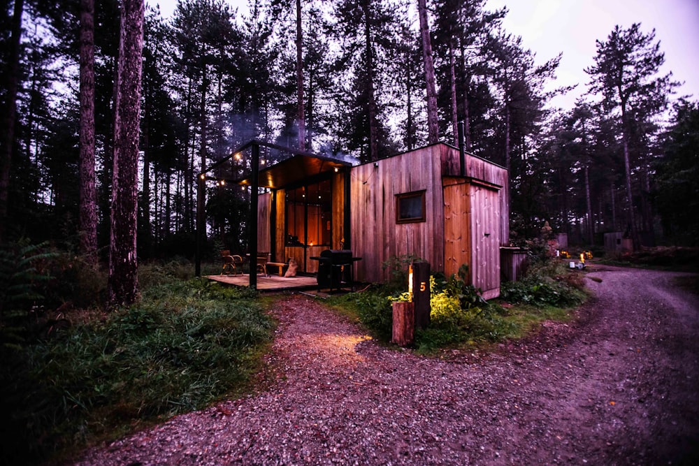 brown wooden cabin