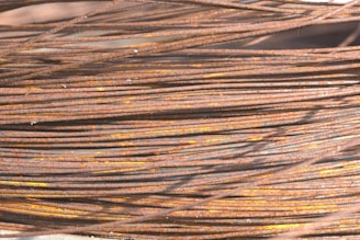 Close-up of hands holding copper wire scrap ready for recycling.