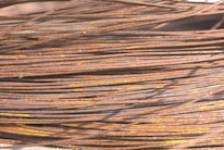 Close-up of shiny copper wires and rusted iron pieces ready for recycling.