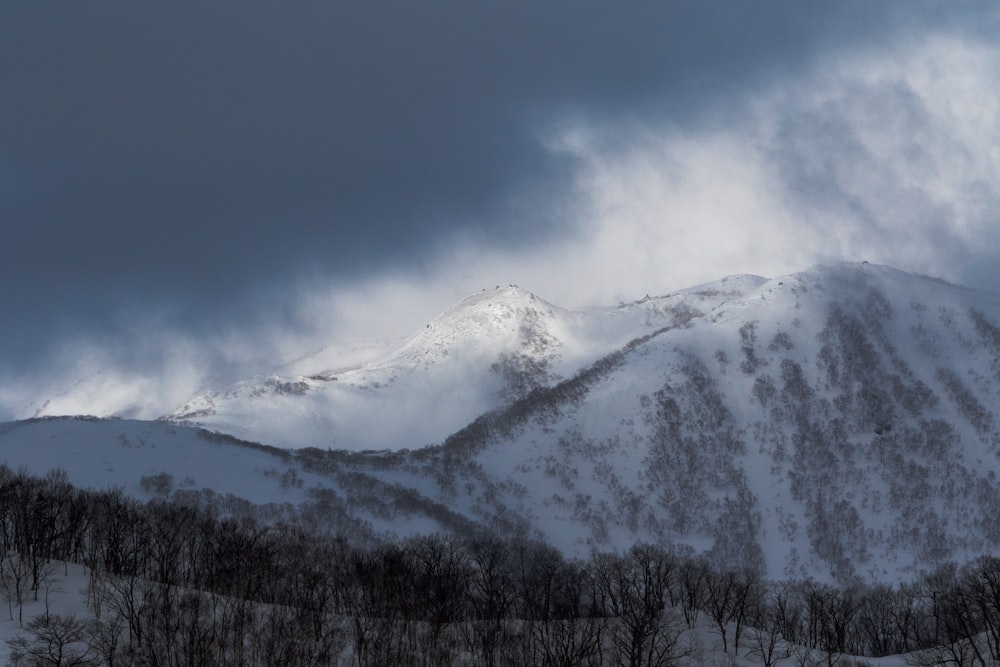 white mountains