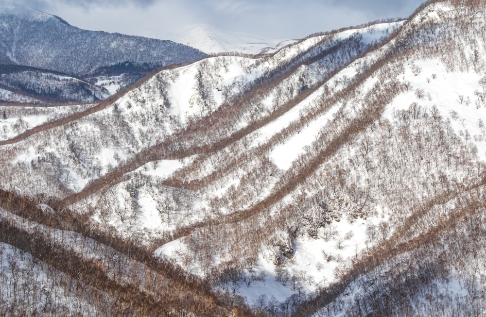 white and gray mountain during daytime